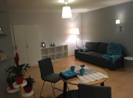 One bedroom studio apartment in Ikskile，位于Ikšķile的酒店