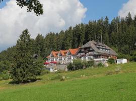 JUFA Hotel Schwarzwald，位于伦茨基希的酒店