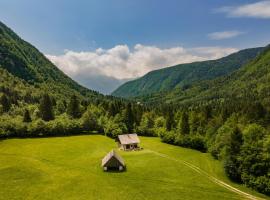 Počitniška Hiša Voje，位于Srednja Vas v Bohinju的酒店