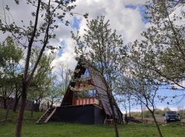 CabanuțA Young Valley，位于B&icirc;ltişoara的木屋