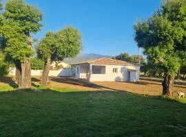 Location "Casa Monna"