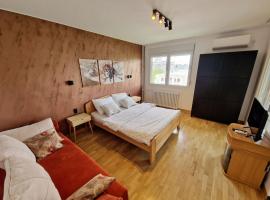 Apartment Nena，位于Tošin Bunar的酒店