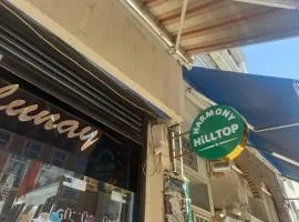 伊斯坦布尔和谐旅馆
