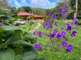 El Valle Resort & Spa - Aguas Termales，位于埃尔巴列德安通的民宿