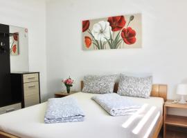 Becar Pyramid Rooms，位于维索科的酒店