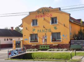 Platán Panzió，位于纽尔的住宿加早餐旅馆