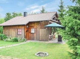 Awesome Home In Waldmünchen With Wifi