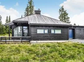 Cozy Home In Sjusjøen With Kitchen