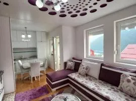 Apartman PETRA LUX