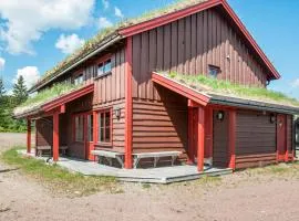 Cozy Home In Trysil With Ethernet Internet