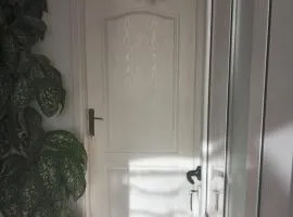 zaga