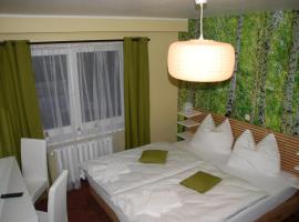 CASILINO Hotel A 24 Wittenburg，位于维滕贝格的酒店