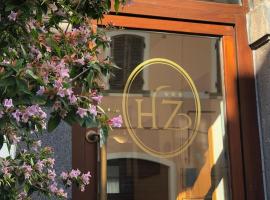 佐迪亚科酒店，位于博尔塞纳的酒店