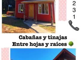 Cabañas y tinajas，位于安库德的度假屋