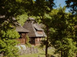 Raven's Nest - The Hidden Village, Transylvania - Romania，位于Sub Piatra的旅馆