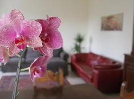 法里纳提之家公寓