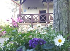 Pestka，位于亚斯塔尔尼亚的山林小屋