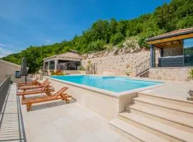 Luxury Villa Borak