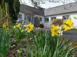 Dinefwr Cottage