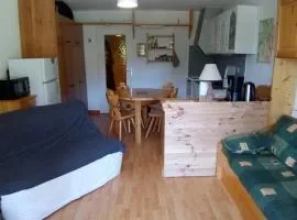 Studio cabine 28m² à Corrençon-en-Vercors, proche village, navettes, skis, nature, 4 pers, balcon - FR-1-515-140