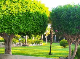 CASA JOAN，位于埃尔切的酒店