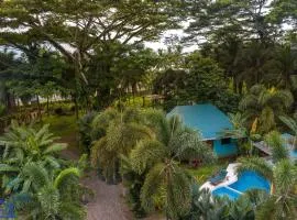 Beachfront Villa Starfish w AC and POOL