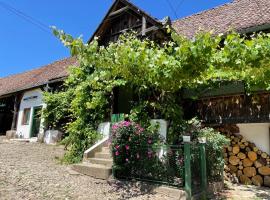 Saschiz 130/Lodging and Glamping，位于Saschiz的酒店