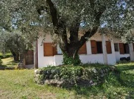 LA CASA TRA GLI OLIVI