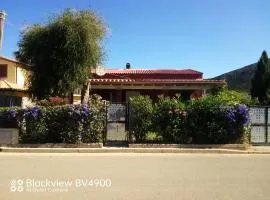 CasaNikisMiauBau
