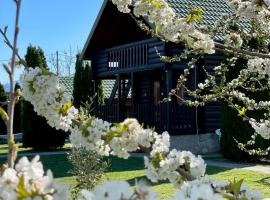 Wooden House，位于波德戈里察的度假屋