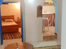 2 bedrooms apartement with terrace and wifi at Tunis 4 km away from the beach