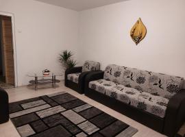 Apartament Ioana，位于特尔古奥克纳的酒店