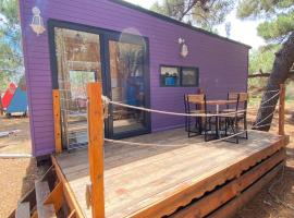 Erikli Plummy Glamping，位于Erikli的酒店