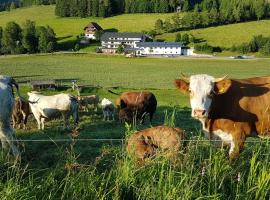 Ferienwohnung am Schneeberg，位于蒂蒂湖-新城的酒店