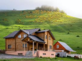 Snow Time Eco Chalet，位于古多里的木屋