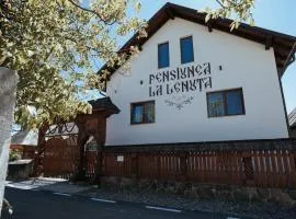 Pensiunea La Lenuta