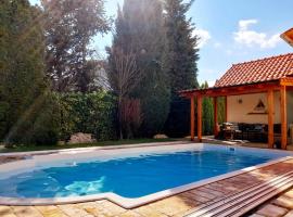 Canadian style house with 3D effect pool，位于Vinosady的酒店