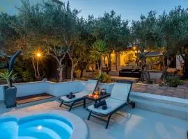 House Oliva with private pool and large garden