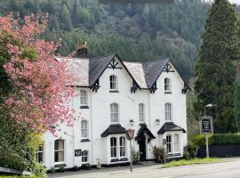 The Buckley Arms，位于迪纳斯马维的酒店