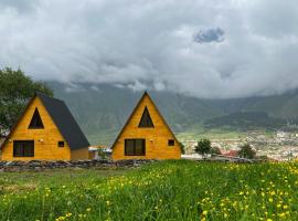 Pine Chalet Kazbegi，位于卡兹贝吉的酒店