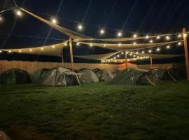 Camping Carmen Vama Veche
