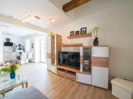 Ferienhaus Teichblick und Turmblick, mit Kultur in Großzschepa, Nähe Leipzig