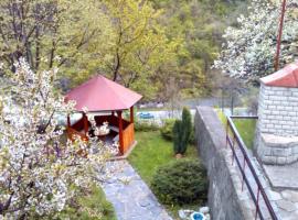 Forest Spring，位于Narechenski Bani的酒店
