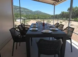 Robinson olive tree huts