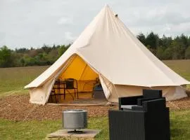 Forest Edge Glamping