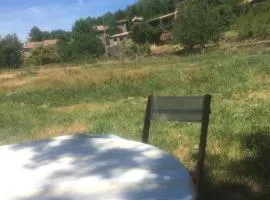 L’Oiseau rêveur