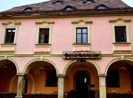 SUKIENNICE MIĘDZYLESIE，位于缅济莱谢的酒店