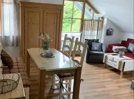 Ferienland Sonnenwald Fewo 46 und Studio 50 in Schöfweg Bayerischer Wald