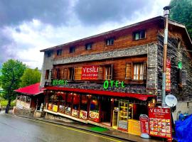 Ayder Vesile Otel，位于艾德亚耶拉西的酒店