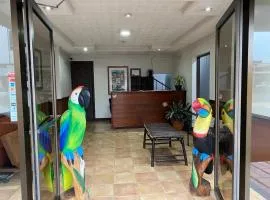 Hotel el Tucan Alajuela